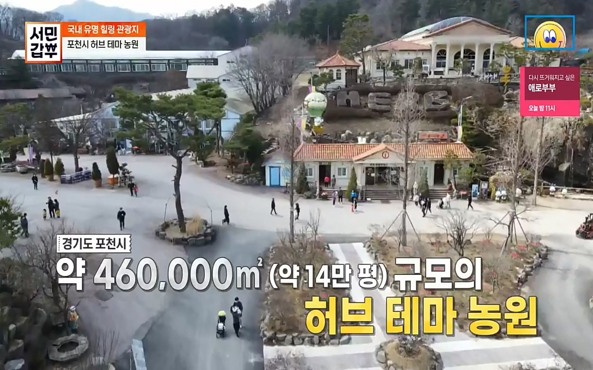 서민 갑부.E380.220424p-NEXT.mp4_20220424_181801.693.jpg