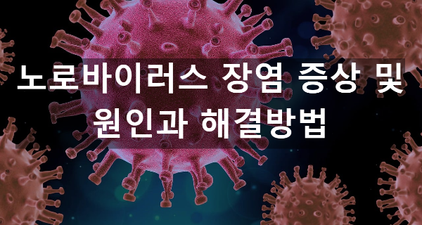  노로바이러스 장염 증상 및 원인과 해결방법