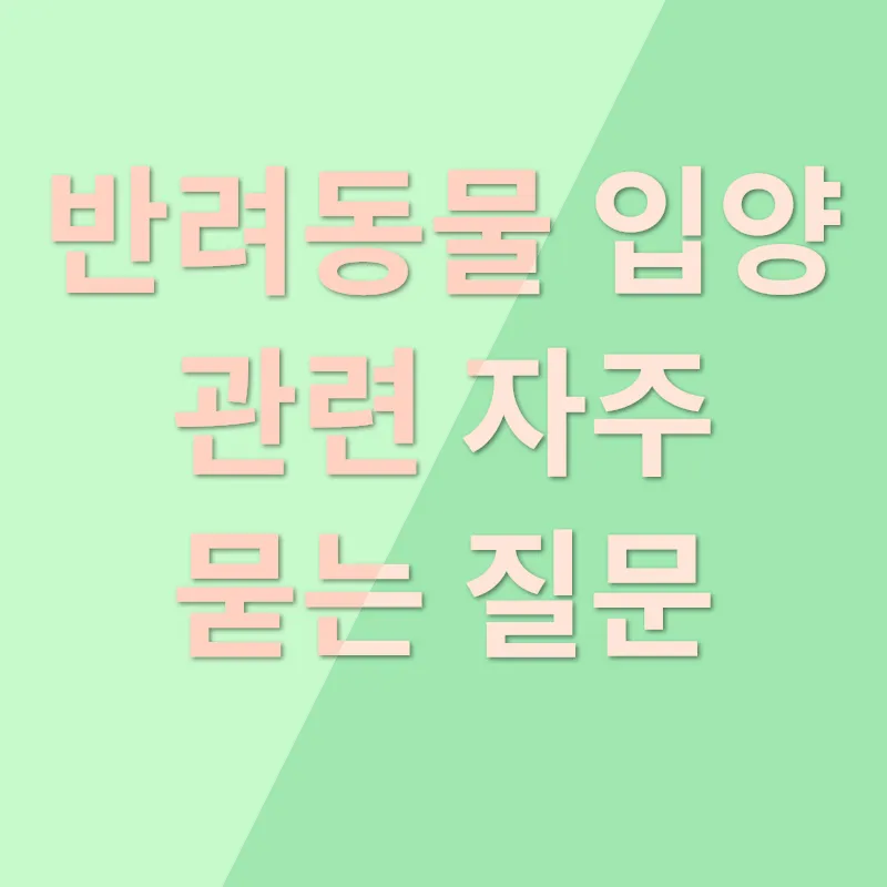 반려동물 입양_4