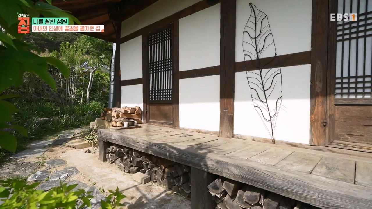 TV - 전 국민의 평생학교 EBS나를 살린 정원.mp4_20230814_211334.330.jpg