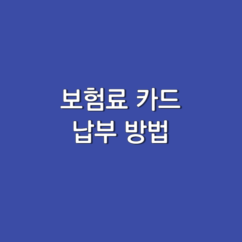  보험료 카드 납부 후기 (메리츠화재 / kb손해보험/ 교보생명 납부 방법 안내)