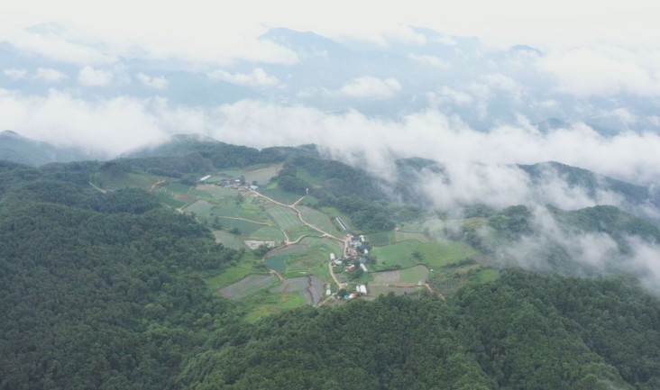 한국기행-보현산-돌탑-돌메기매운탕-영천