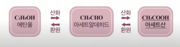 에탄올 산화 도식화