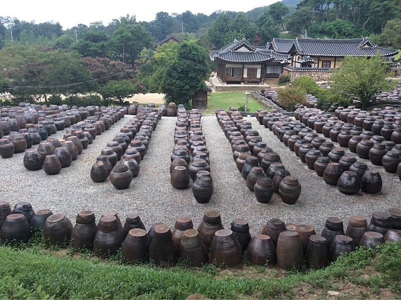  논산 명재고택&노성 궐리사