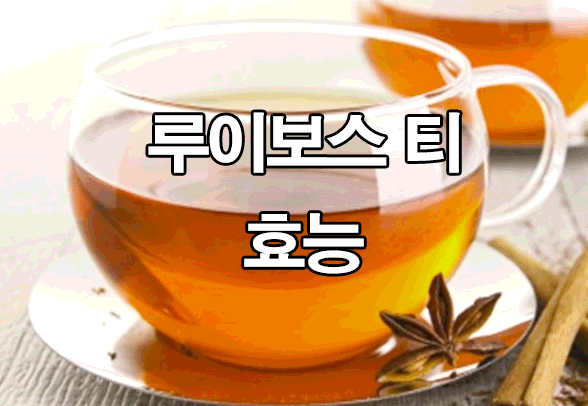  루이보스티 효능 정리