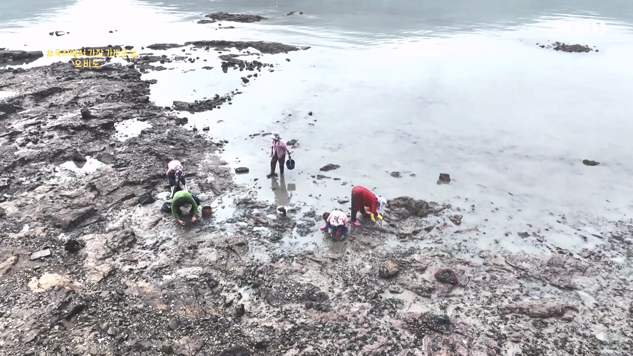 동네 한 바퀴.E243.231015p-NEXT.mp4_20231015_183657.714.jpg