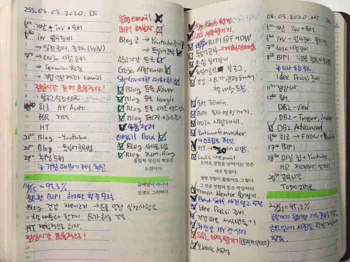  데일리 리포트, 데일리 플랜 (feat.메타인지 높이는 방법)
