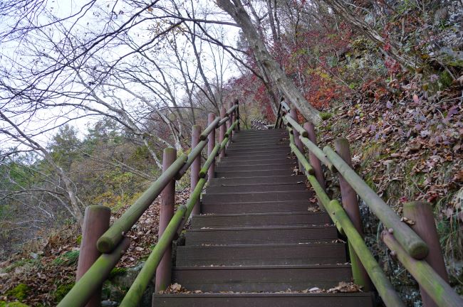 그늘진 오르막 계단 데크길&#44; 양쪽에 안전 목책난간&#44;