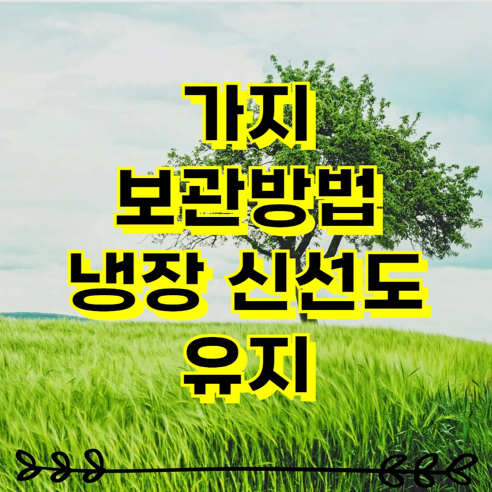 가지 보관방법 냉장 신선도 유지