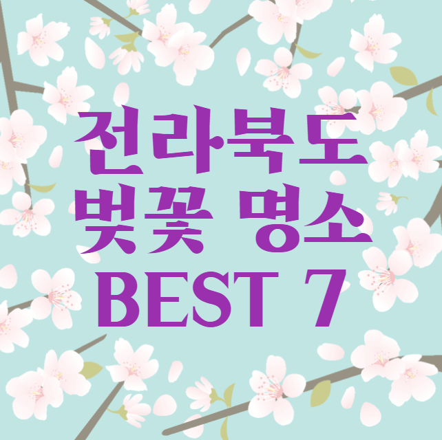 전라북도 벚꽃 명소 BEST 7