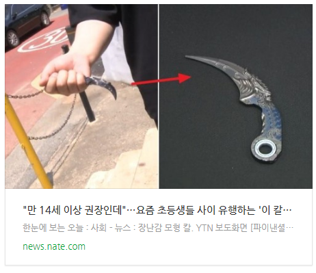  "만 14세 이상 권장인데"…요즘 초등생들 사이 유행하는 '이 칼'