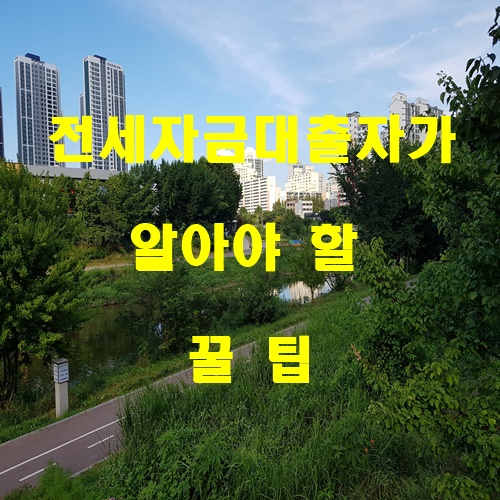  전세자금대출자가 알아야 할 팁