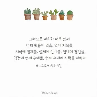 베드로후서 3장 9절 묵상 - 주의 약속은 어떤 이들이 더디다고 생각하는 것 같이 더딘 것이 아니라_3