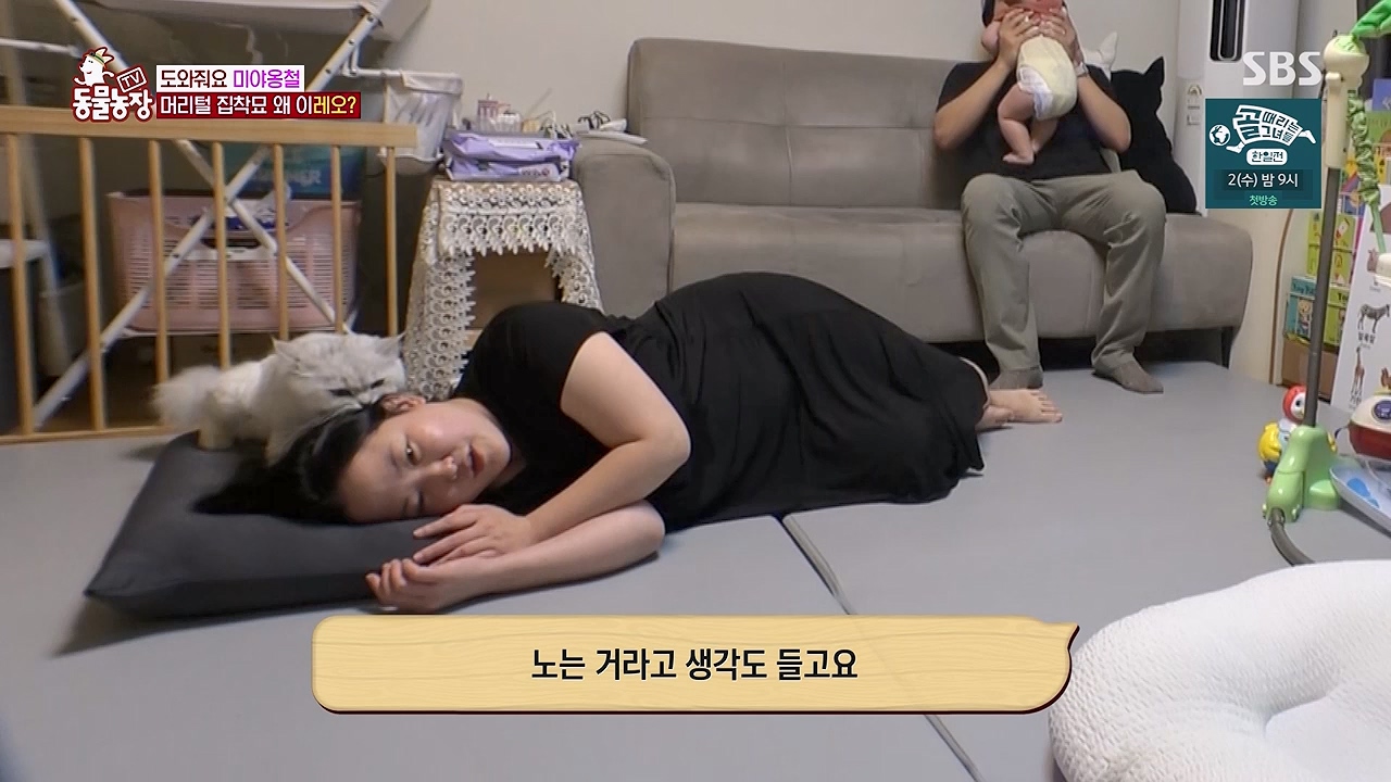 TV 동물농장 1189화 다시보기.ts_20240922_161942.994.jpg