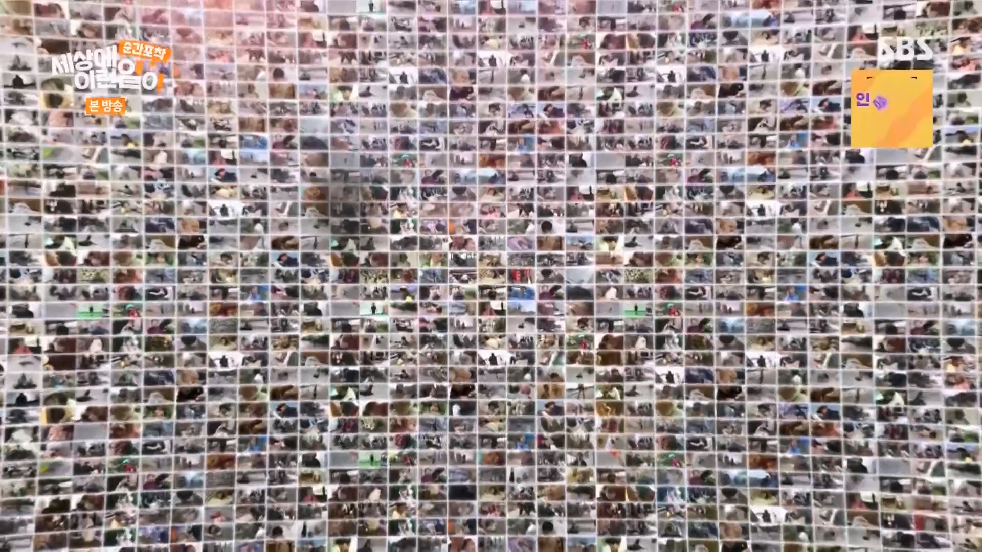 순간포착 세상에 이런일이.E1264.240210p.H264-F1RST.mp4_20240211_190715.416.jpg