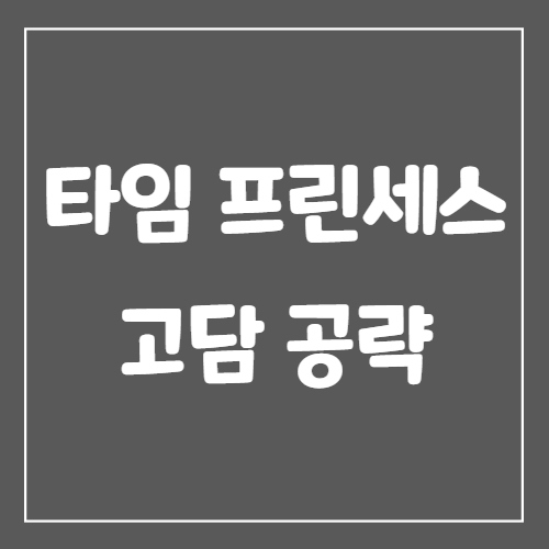 타임 프린세스 고담 공략