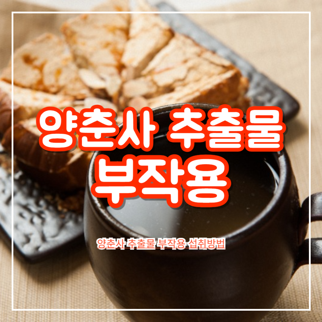 양춘사_추출물_부작용_섭취방법