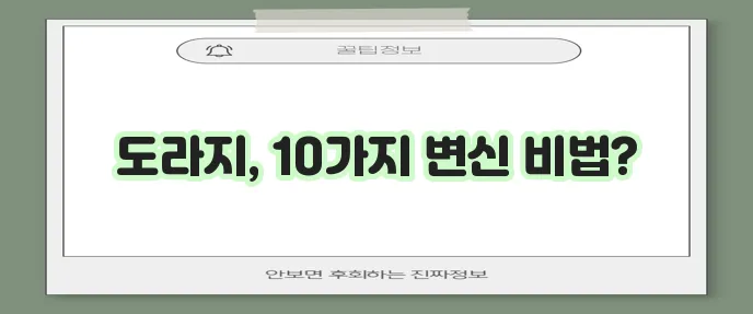 몸에 좋은 도라지 요리 10가지 방법 알아봅시다!