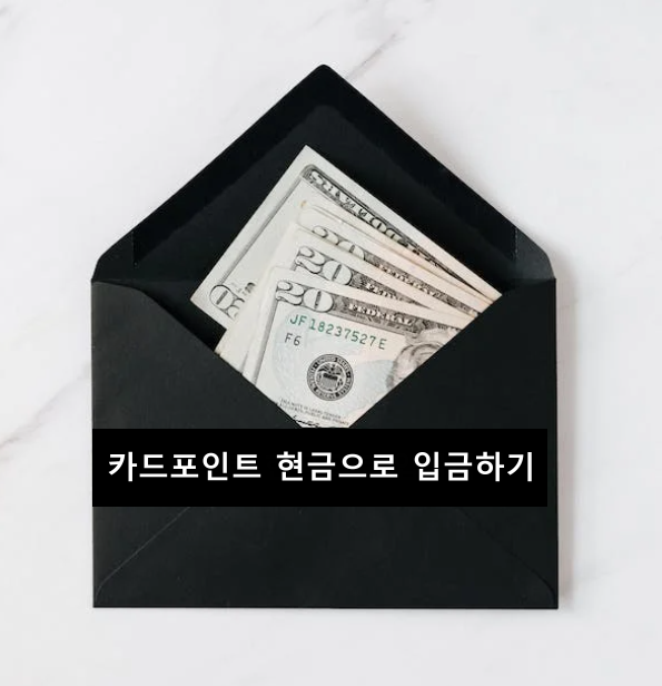  카드포인트 한번에 조회하고 현금으로 받는 간단한 방법