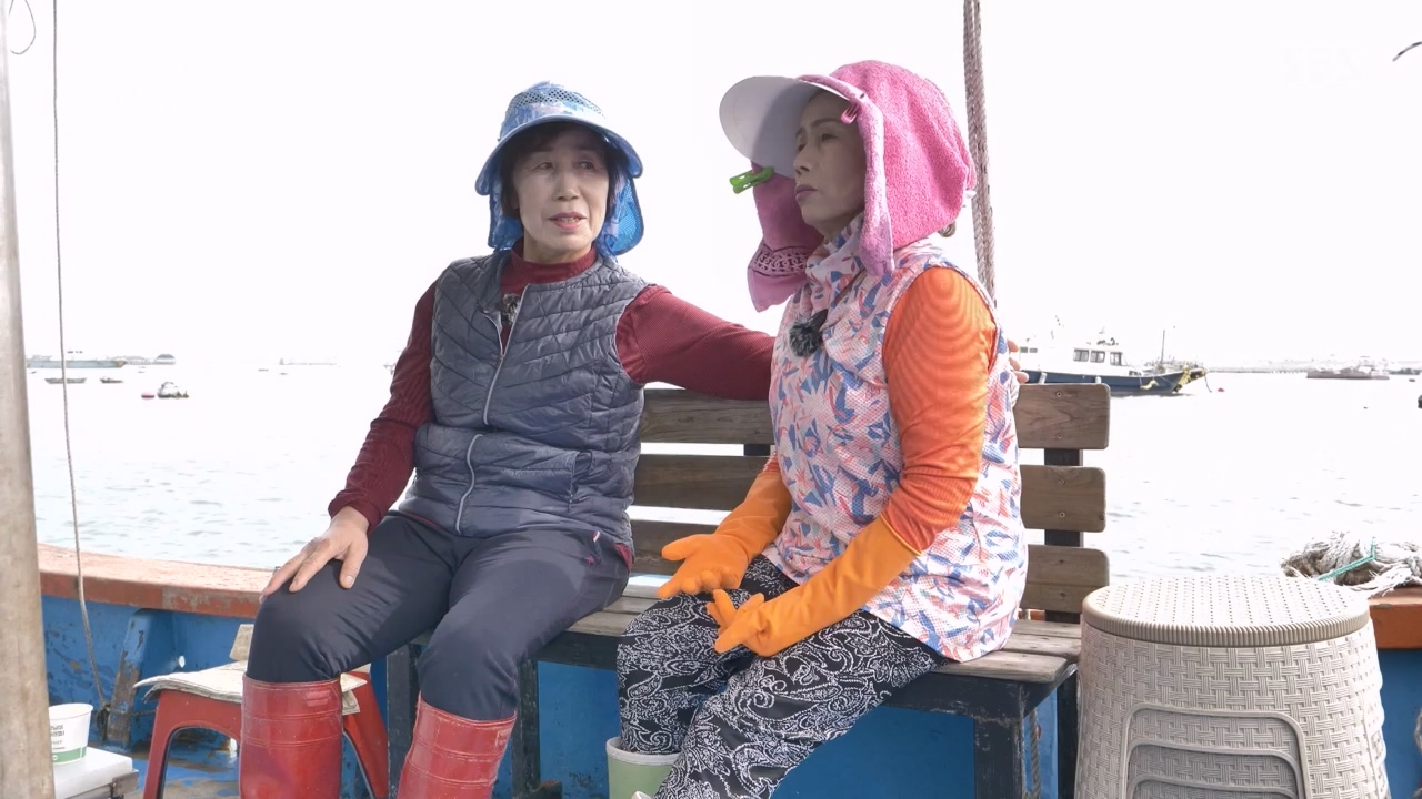 일요특선 다큐멘터리.E343.240304p-NEXT.mp4_20240305_202403.548.jpg