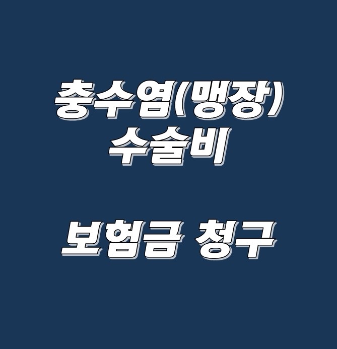  (보험금 청구) 충수염(맹장)수술비