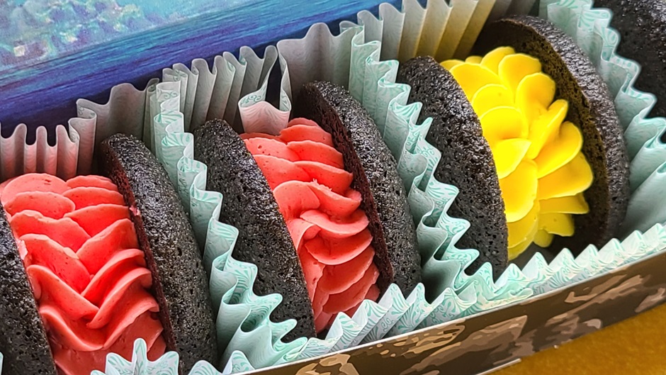  제주 마카롱 돌카롱 다녀왔어요~!