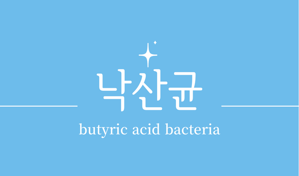 &#39;낙산균(butyric acid bacteria)&#39;