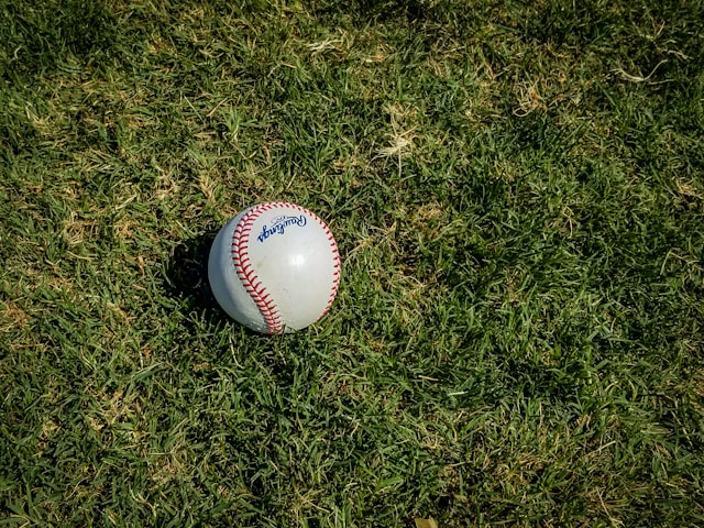 BASEBALLIMG1