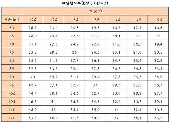 체질량지수