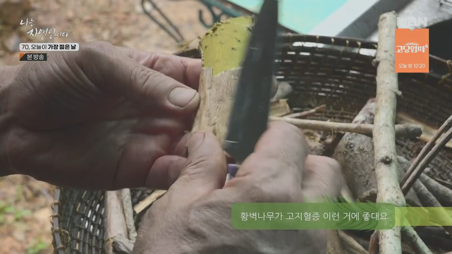 나는 자연인이다.E565.230802p.H264-F1RST.mp4_20230803_203404.515.jpg