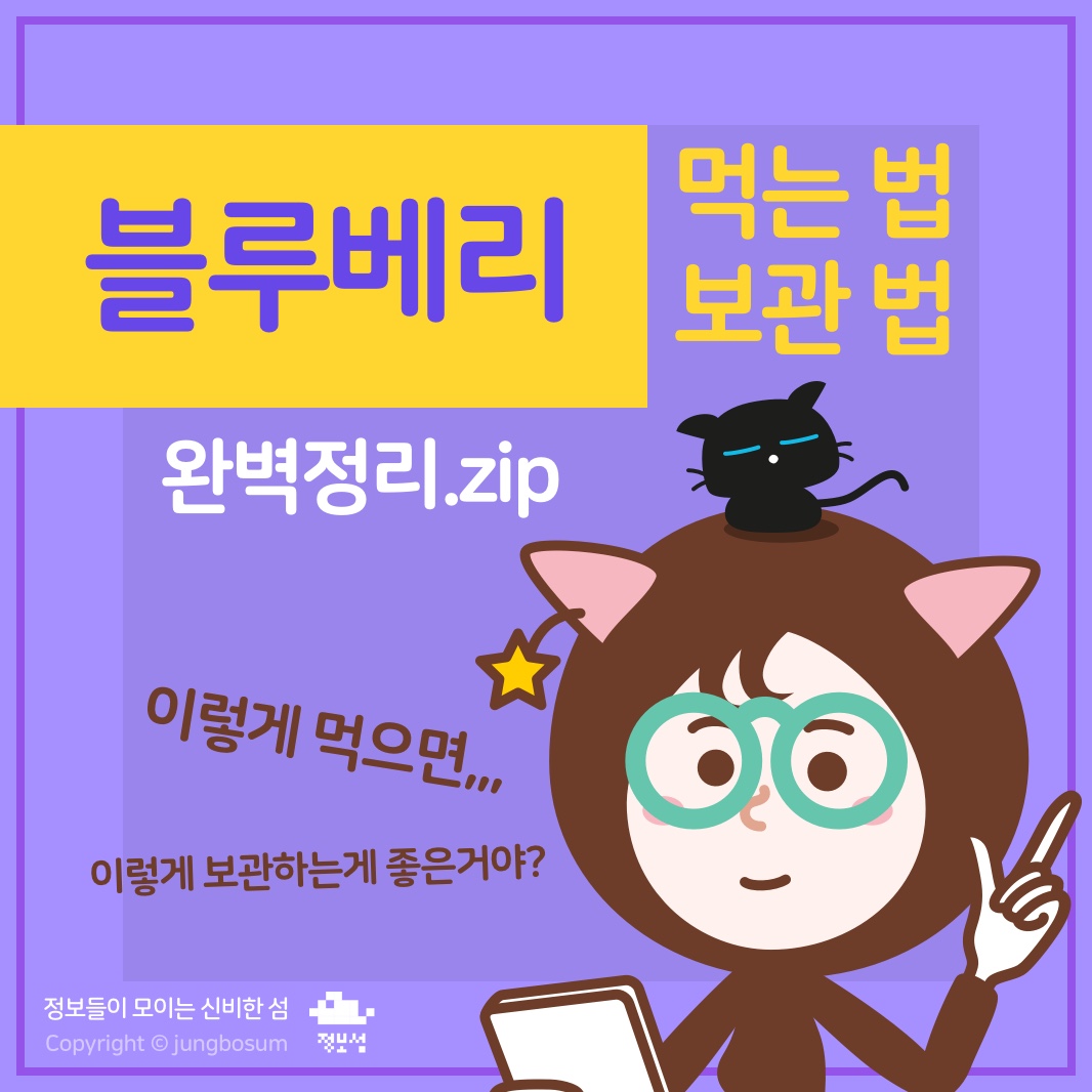  블루베리 먹는 법, 보관 법, 잘 고르는 법 - 완벽정리2.zip