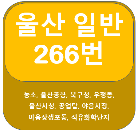  울산 266번 버스 노선정보(울산공항, 우정동, 석유화학단지)