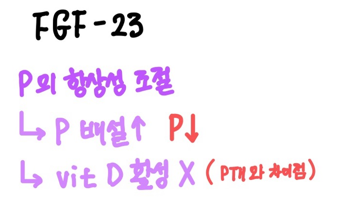 FGF-23의 기능