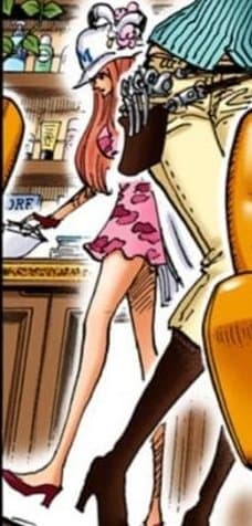  원피스 츠루 손녀 소드 대원 쿠자쿠 아버지의 정체