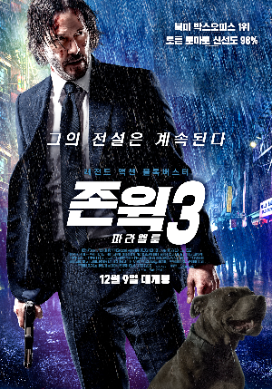  [영화 추천] 존 윅 3: 파라벨룸 - 정보/줄거리/리뷰/예고편