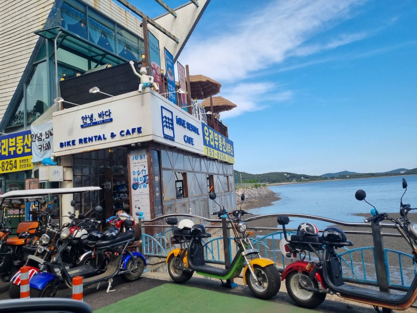 [가을 여행 추천지] 신시모도 당일치기 / 배 시간표 / 하라보라 카페 / 숙박 펜션 정보