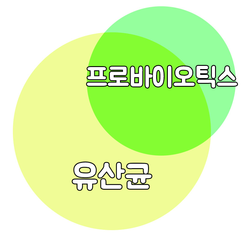 프로바이오틱스와 유산균의 차이점 많은 사람들이 프로바이오틱스와 유산균을 같은 것으로 착각하지만, 엄밀히 말하면 둘을 동일시할 수 없다. 프로바이오틱스는 우리 몸에 유익한 작용을 하는 살아 있는 유익균을 말합니다. 대부분의 프로바이오틱스 박테리아는 유산균입니다. 그러나 모든 유산균이 프로바이오틱스로 인정되는 것은 아닙니다.