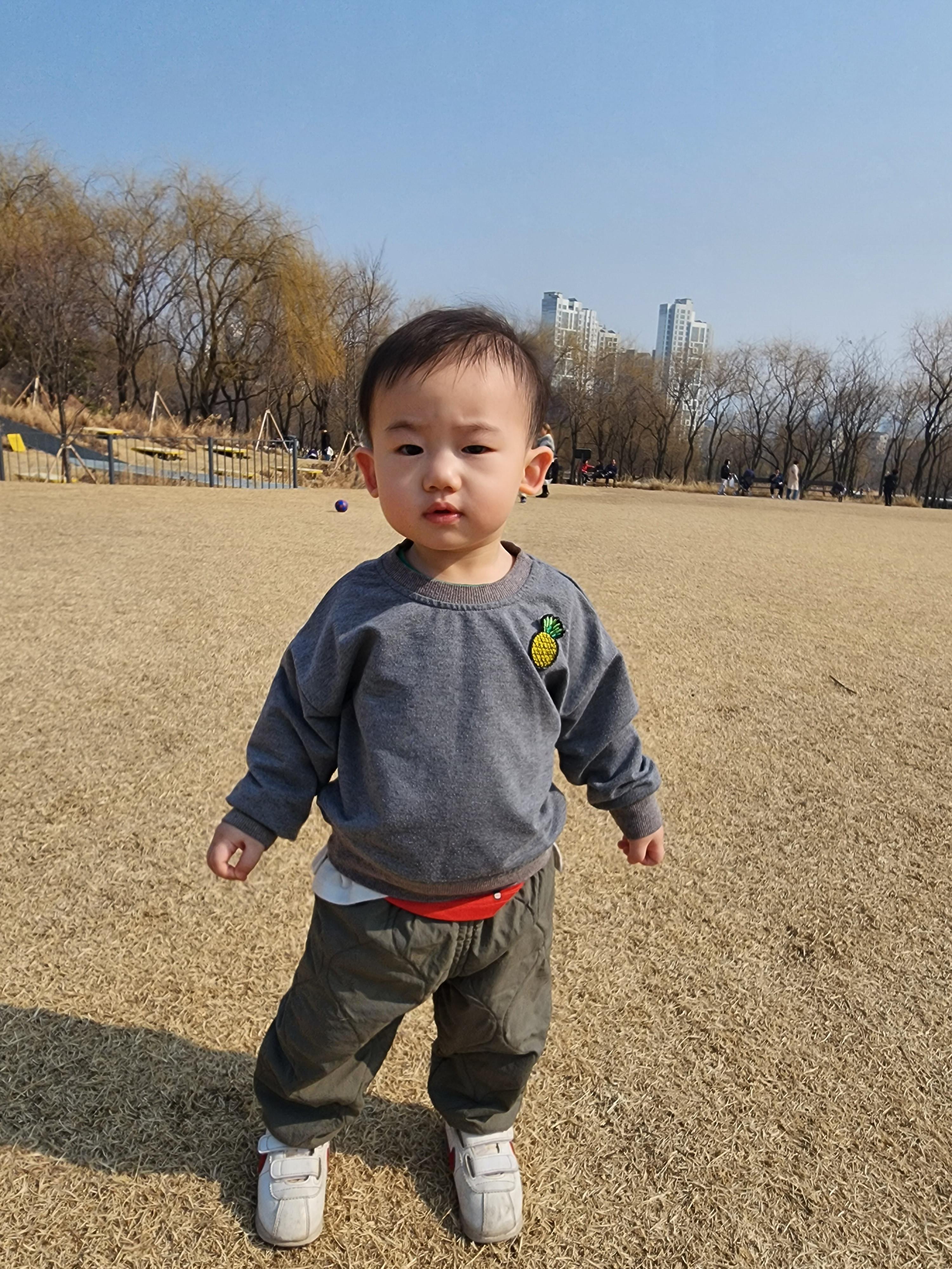 북서울 꿈의 숲, 서울에서 즐기는 20