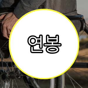 연봉