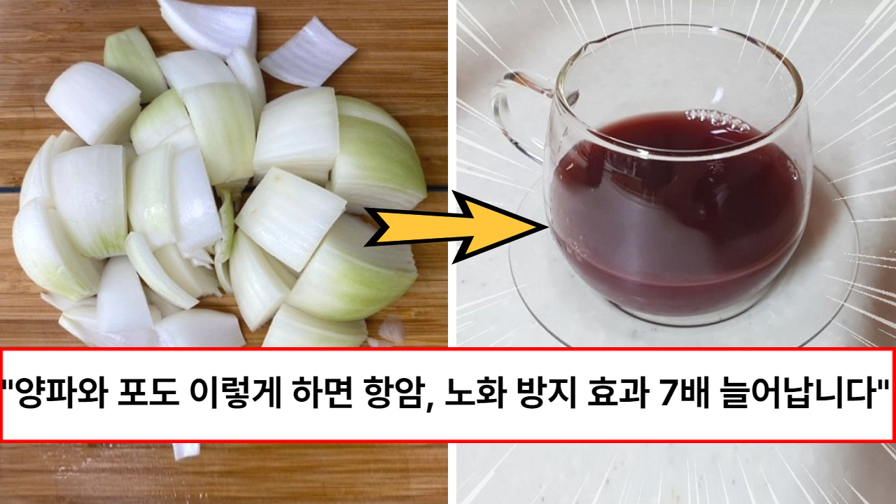 “함께 먹을수록 장수보약 됩니다” 면역력이 강해지고 노폐물과 지방이 무섭도록 빠져 나간다는 음식 궁합 (+6가지)