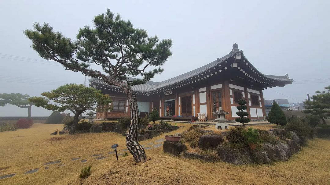 생방송오늘저녁 전남 장성 숭례문을 복원한 목수가 지은 촌집 여행 가볼만한 곳 한옥 스테이 펜션 숙소 추천