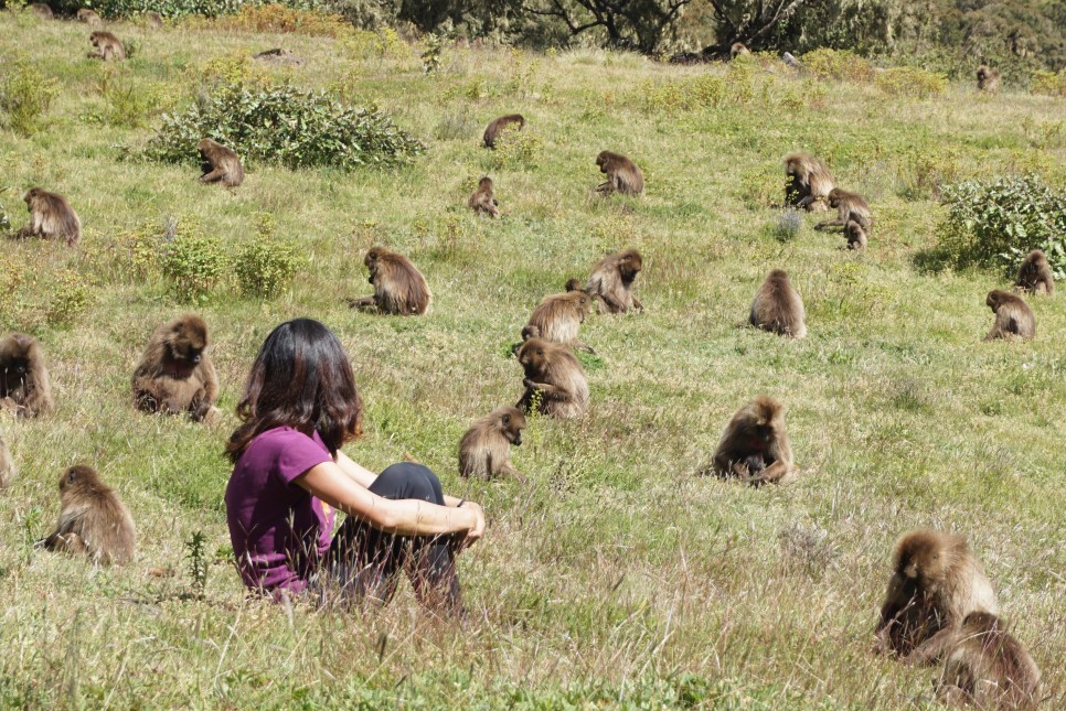 해외 여행 입국자 자가격리 해외입국 자가격리 면제 : 3월21일부터 17