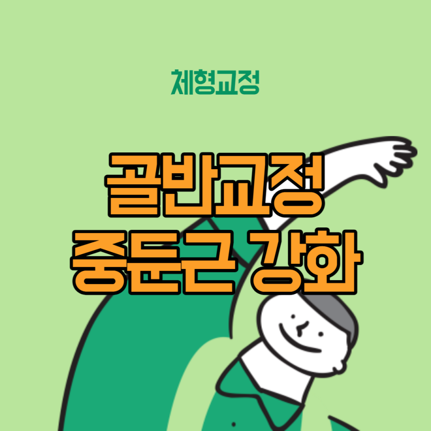  [체형 교정] 2회차 - 중둔근 강화 운동