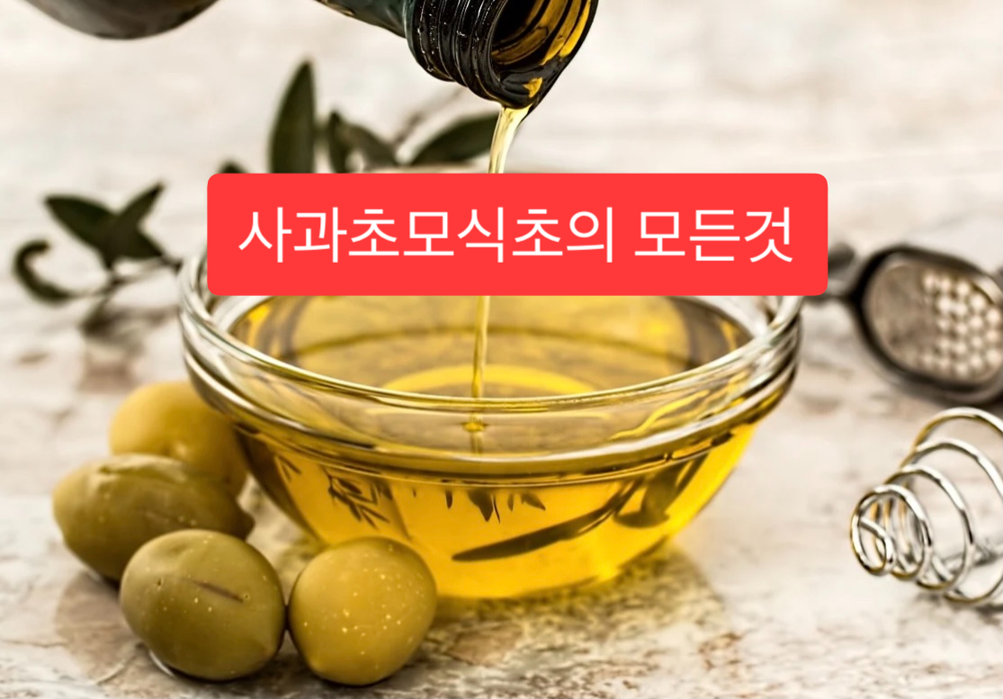  사과초모식초 효능 모든것