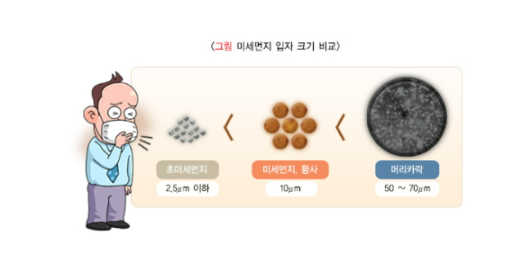 황사 미세먼지 머리카락 입자 비교