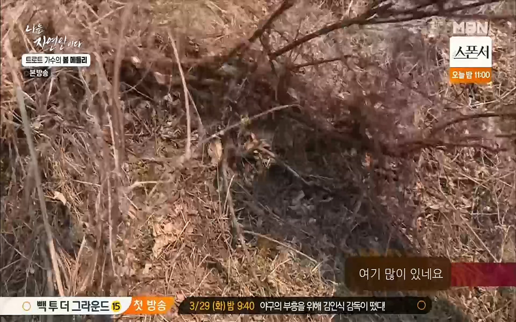 나는 자연인이다.E494.220323p.H264-F1RST.mp4_20220324_183912.928.jpg