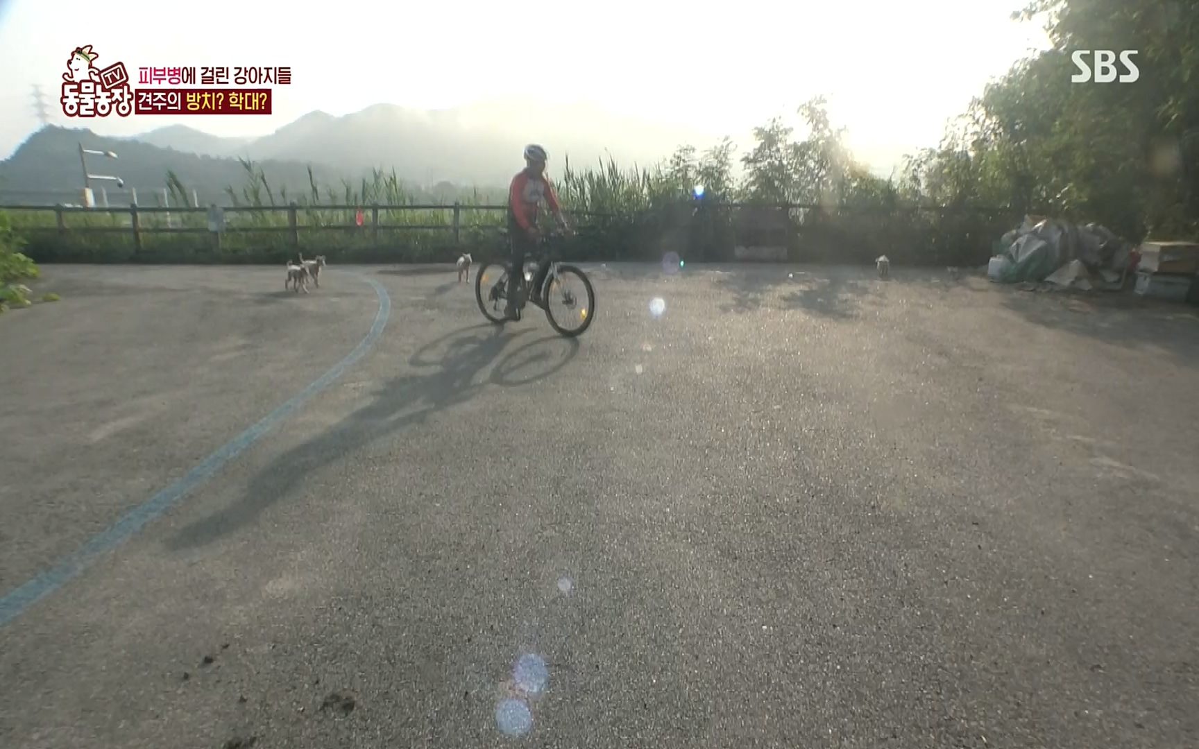 TV 동물농장.E1081.220807p.H264-F1RST.mp4_20220807_213638.741.jpg