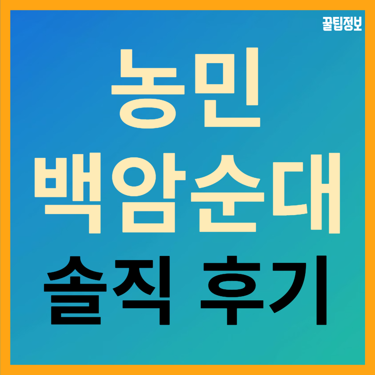 선릉역 농민 백암 순대 본점 5번 이상 가본 솔직 후기!