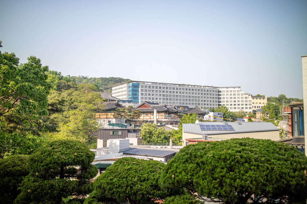 고려대학교 의과대학