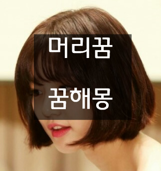  머리에 관한 꿈해몽 1